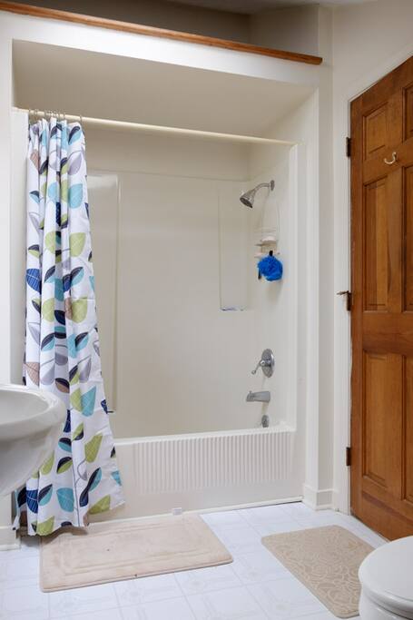 Full bath and shower in a skylighted bathroom