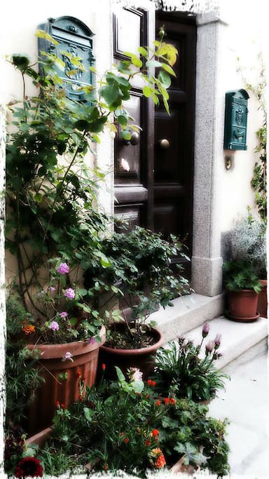 Main door of the building in via Mellini, Capoliveri (LI)