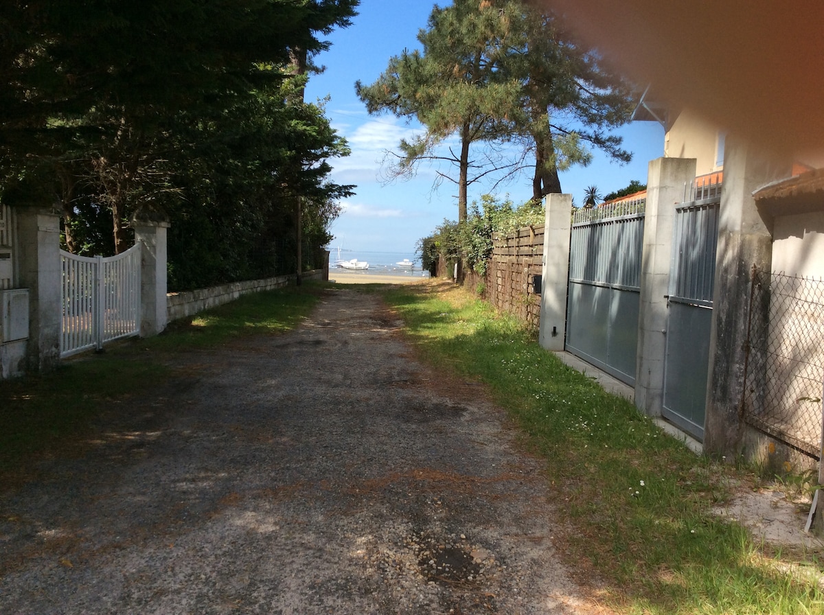 A serene pathway leads towards the sea, flanked by trees and low shrubs on both sides. The road is gravel with patches of grass and wildflowers, providing a natural border. A glimpse of the water can be seen at the end of the path, framed by the distant landscape.