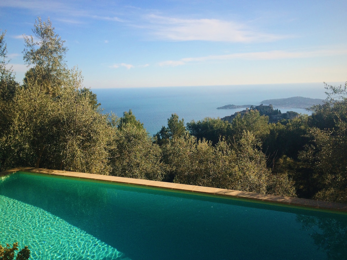 A serene infinity pool is set against a stunning backdrop of the blue sea and distant coastline, surrounded by lush olive trees. The poolâs clear water reflects the sky, enhancing the peaceful ambiance of the natural landscape.