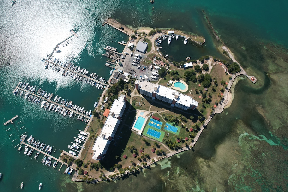 Aerial view of a coastal complex highlights lush greenery and well-maintained grounds. Two swimming pools are visible, along with a marina filled with boats. The surrounding waters exhibit various shades of blue, enhancing the overall coastal setting.