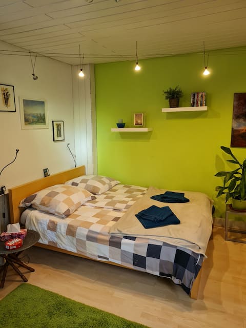Successful Airbnb property: Quiet accommodation at Wilhelmshöhe (ICE) train station in Kassel