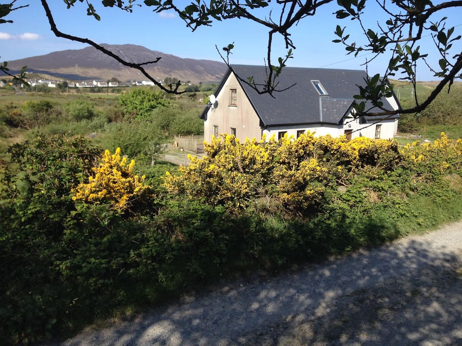 Our house is on a quiet lane off the Wild Atlantic Way. Here you can see Tully Cross and Tully Mountain in the background.