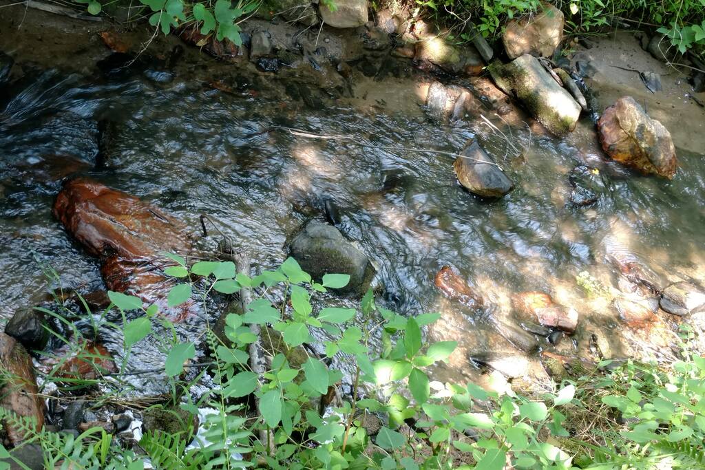 Rushing stream along property