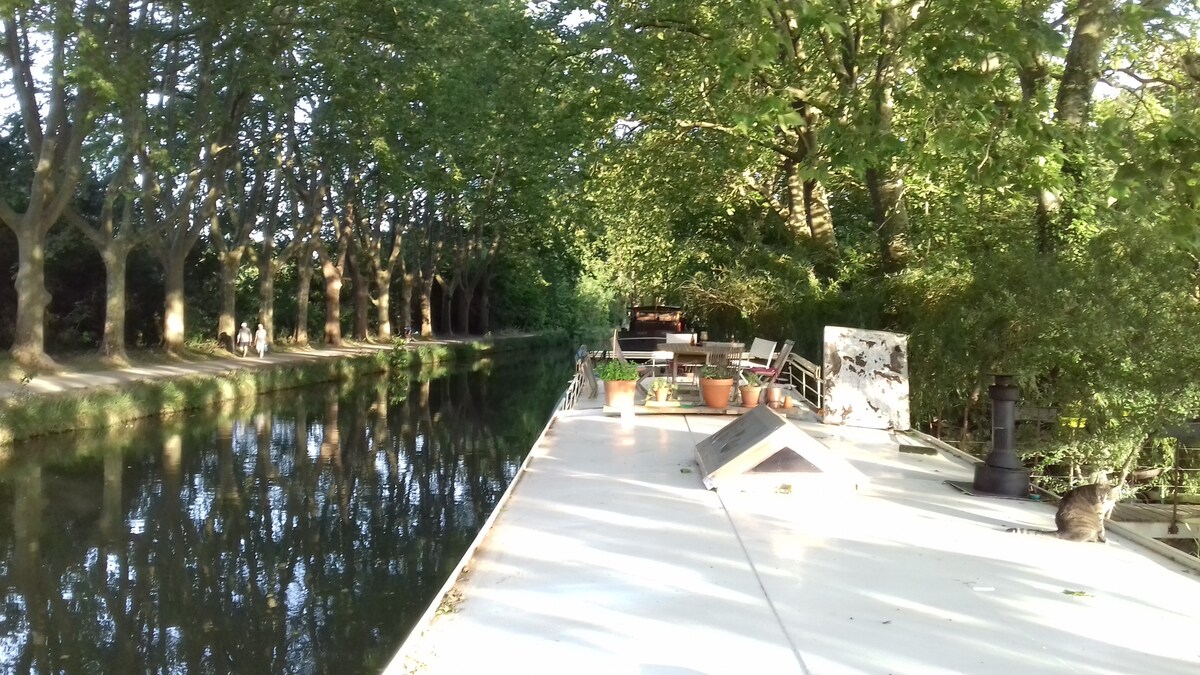 The deck of the barge overlooks a serene canal lined with centenary plane trees. Potted plants and a few scattered seats provide a relaxing outdoor space, with calm waters reflecting the greenery and soft sunlight.