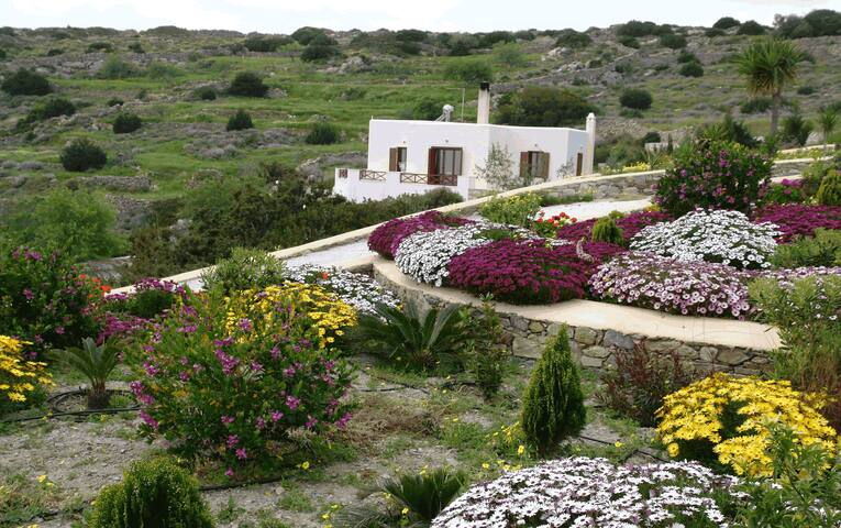 Mallia luxury studio with view