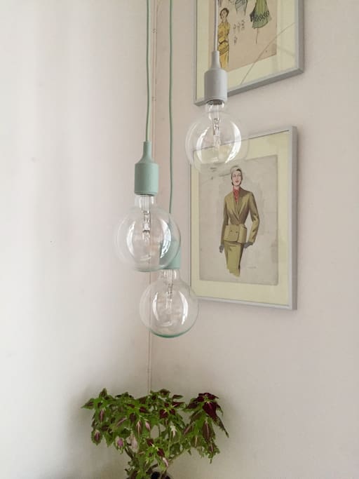 Trendy light bulbs that can be dimmed.