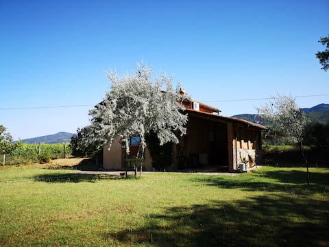 Top Airbnb: il Fienile - (Typical Tuscan rural accommodation) a Terranuova Bracciolini