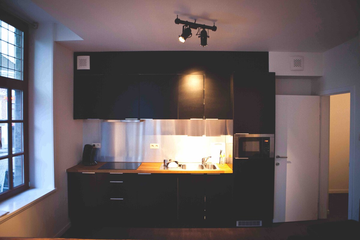 fully equipped kitchen at Band Resort 0.1 in Ghent