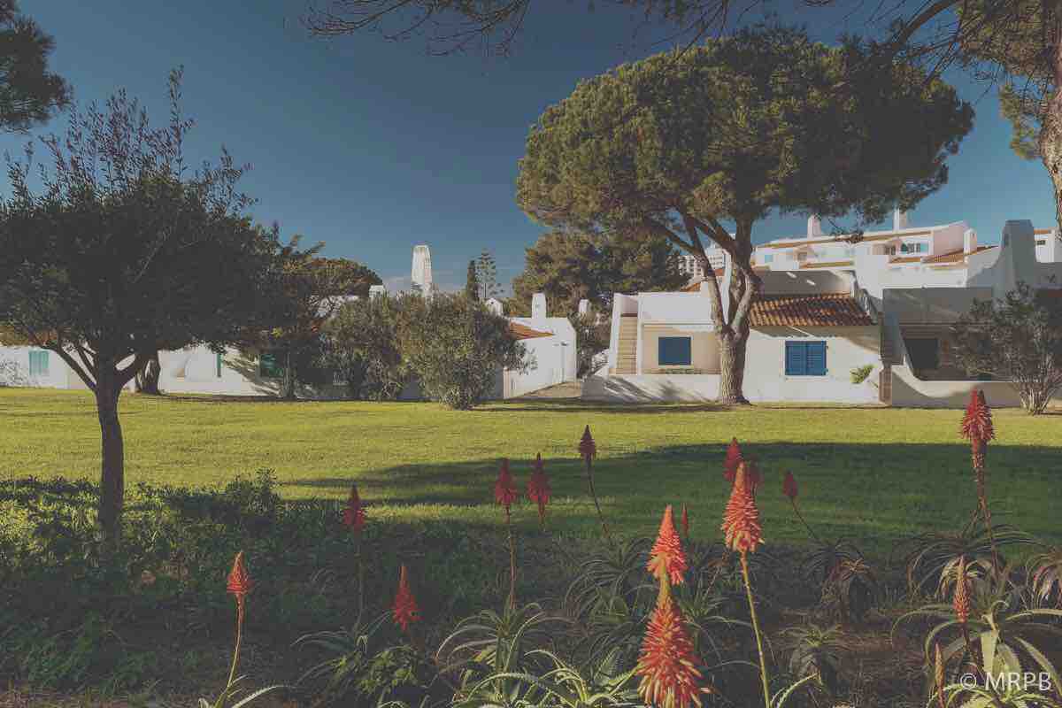 A spacious green lawn is framed by vibrant orange flowers. The house, characterized by its white walls and blue window shutters, is nestled among large trees, creating a serene outdoor setting. The sky above is clear and blue, enhancing the peaceful atmosphere.