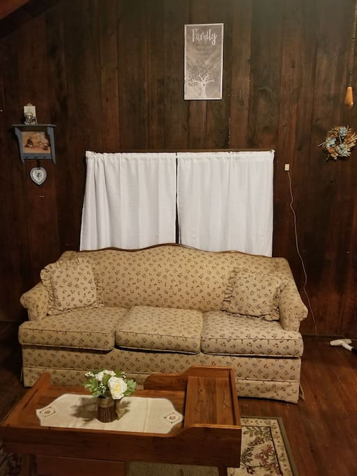 Livingroom with sleeper sofa
