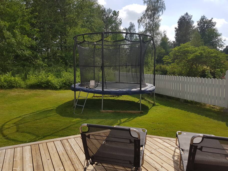 Lummig baksida