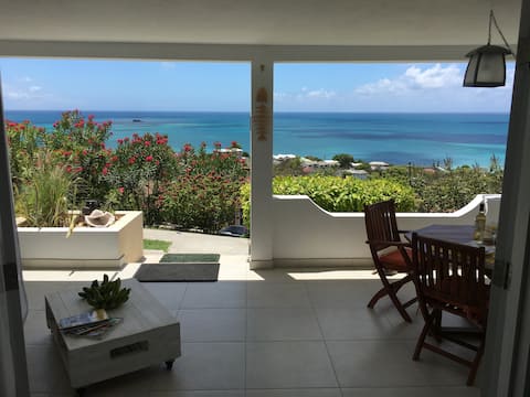 Halcyon Heights Views