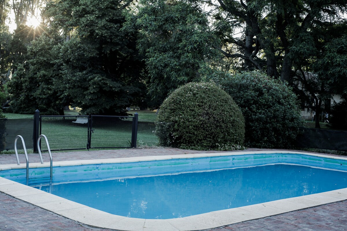 A rectangular swimming pool is bordered by a paved area and is surrounded by lush greenery. A black safety fence is visible, and the sunlight streams in through the trees, creating a serene atmosphere. A shallow entry ladder is positioned at one end of the pool.