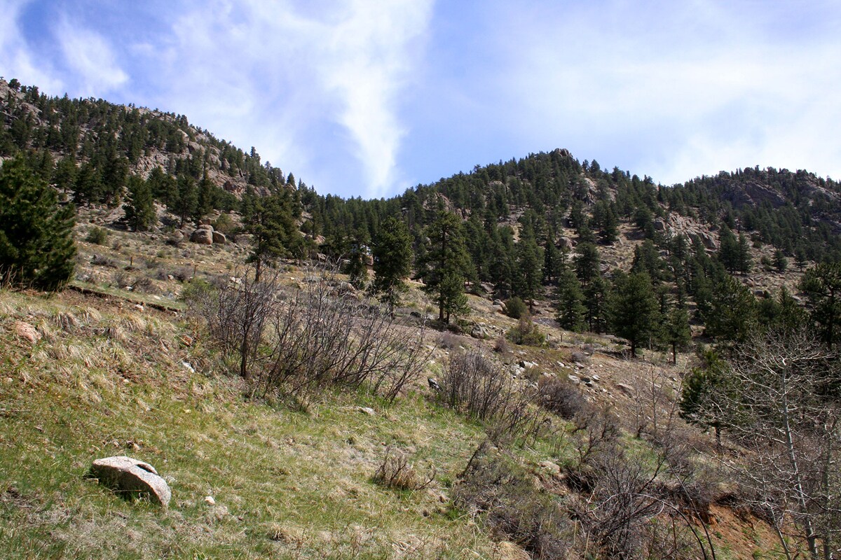 View 7
