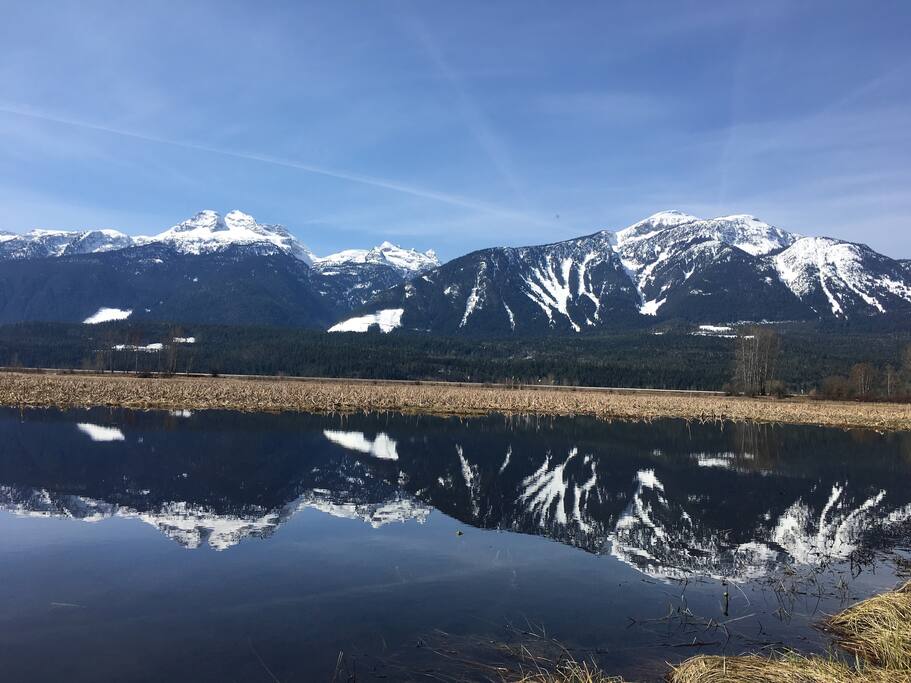 Spring view of the flats from our back yard.