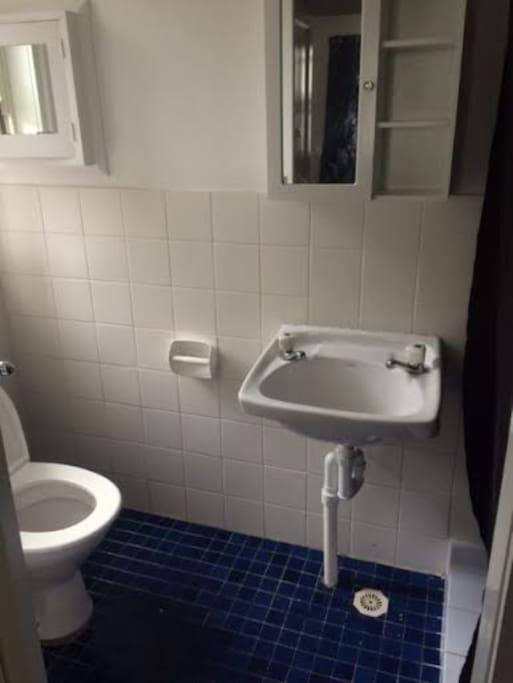 Bathroom. Toilet, sink and shower