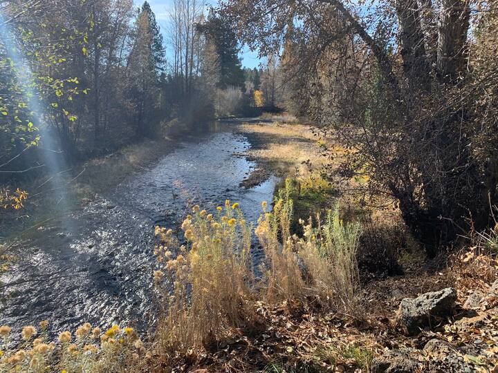 10 Best Airbnb Vacation Rentals In Sisters, Oregon Updated 2024 Trip101