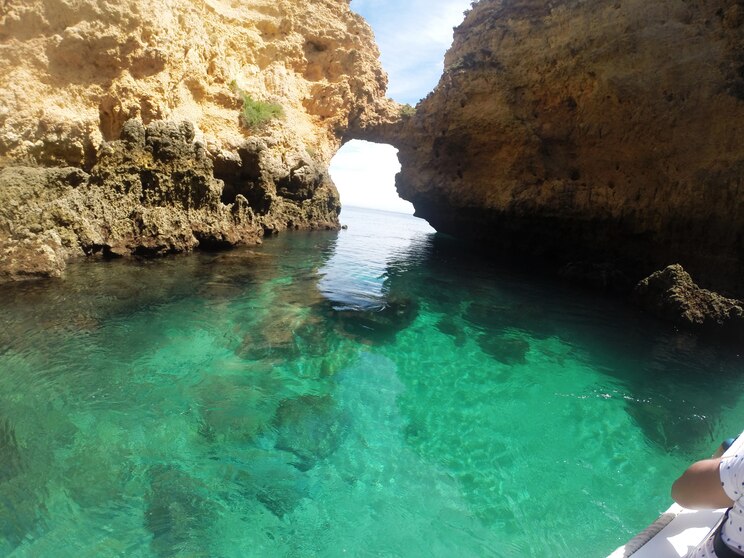 Show full-screen, host-provided image