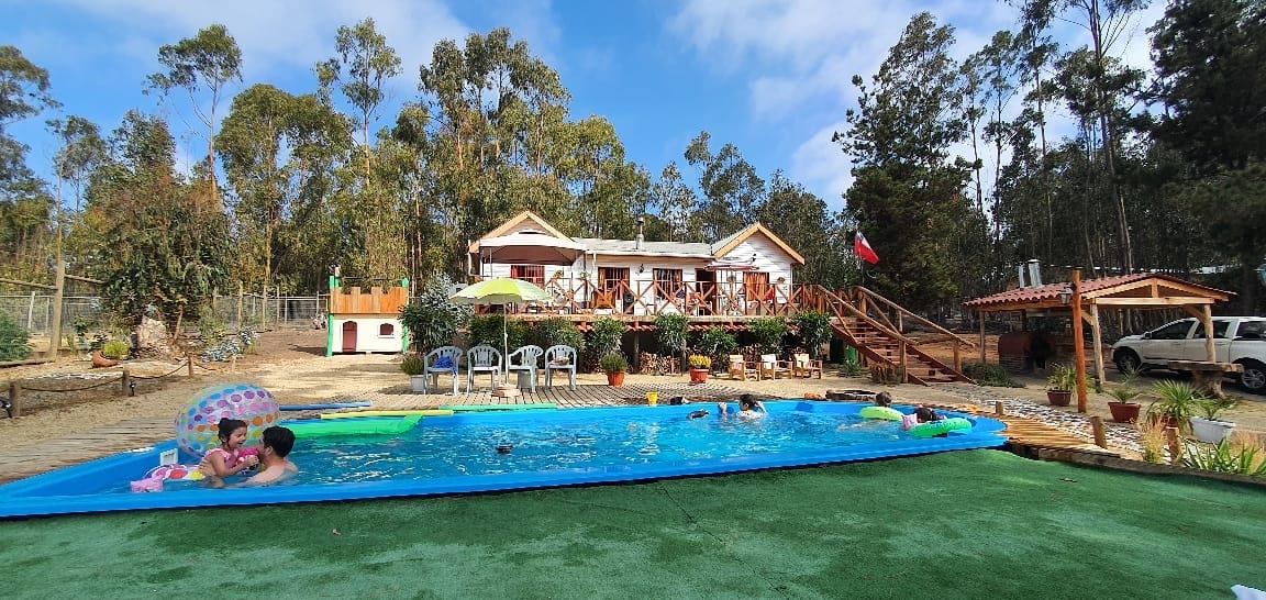 A large outdoor pool is centered in the image, surrounded by green grass. Several lounge chairs are placed nearby. In the background, a two-story house is visible, framed by trees, with a staircase leading to an entryway adorned with potted plants and flags.
