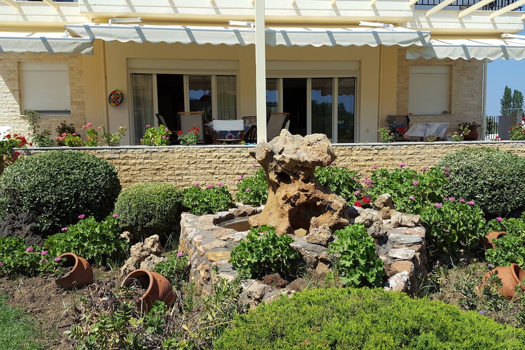 FRONT YARD