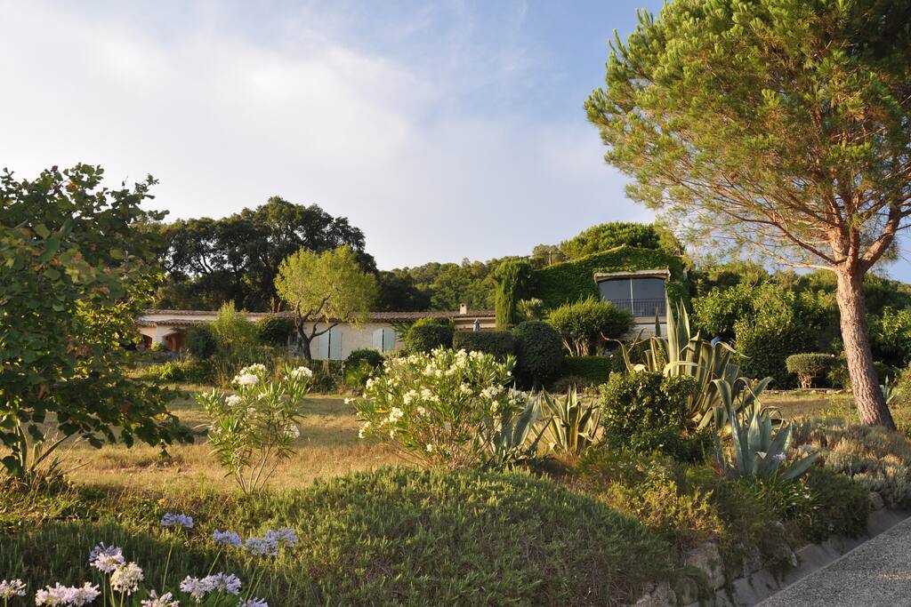 Garden & House