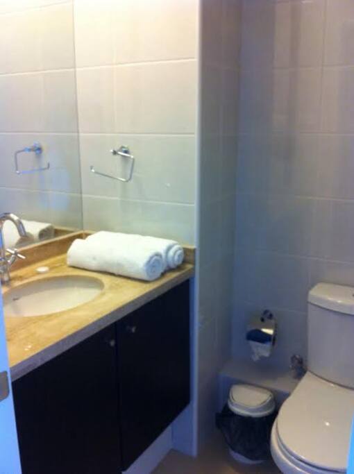 baño dormitorio principal