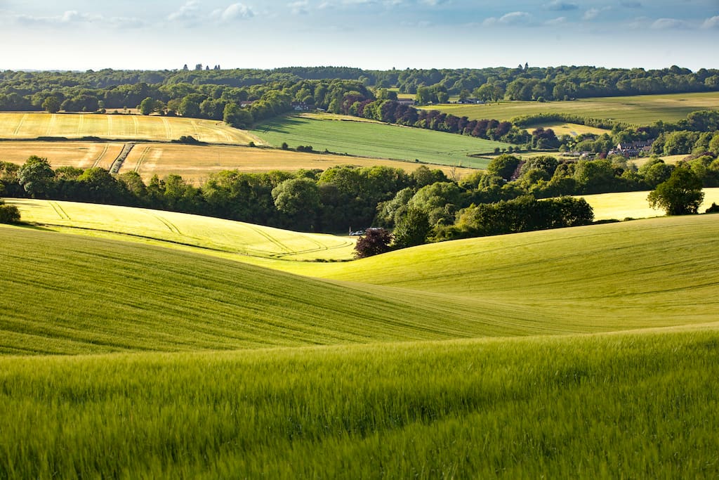 Looking down the farm
