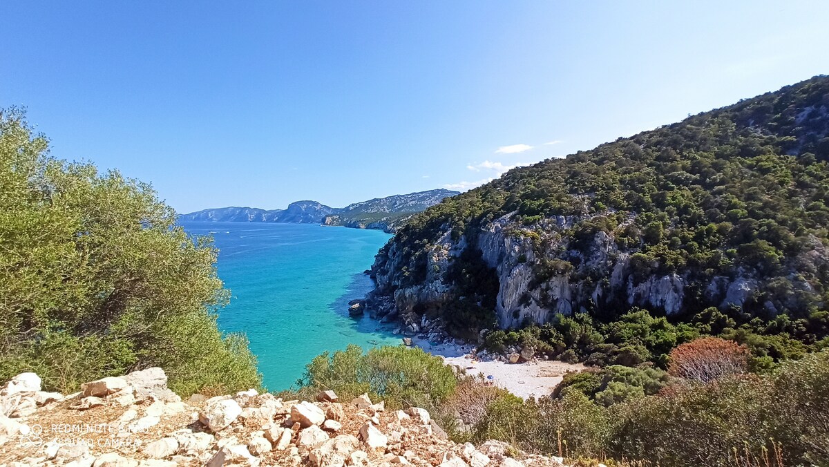 A panoramic view of the coastline reveals clear turquoise waters gently lapping against rocky shores, framed by lush greenery and rugged cliffs. The landscape showcases the natural beauty of the area, blending vibrant colors of the sea and land, inviting exploration.