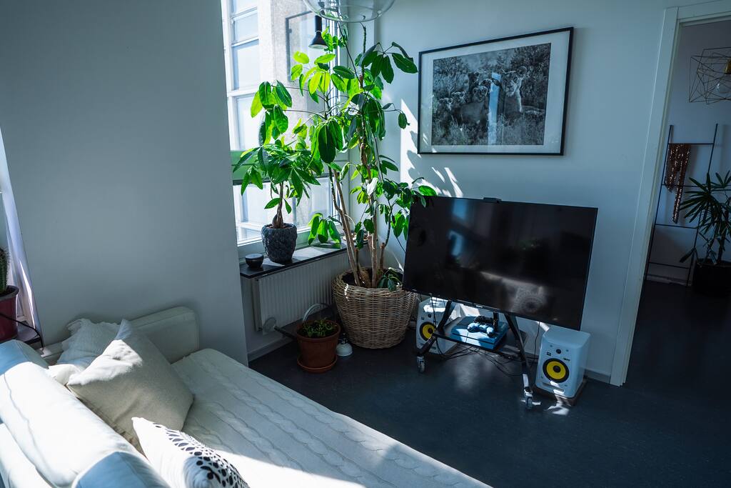 50 inch TV with Netflix and PS4 (two controllers)