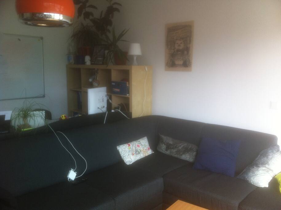 Living room whith sleeping-couch