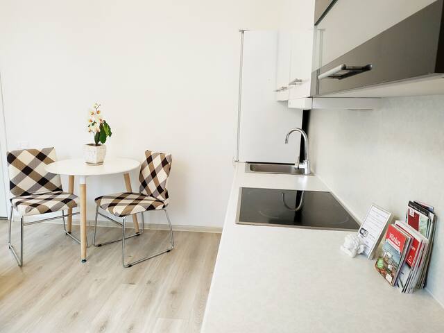 Gediminas Avenue Studio near Lukiškės Square