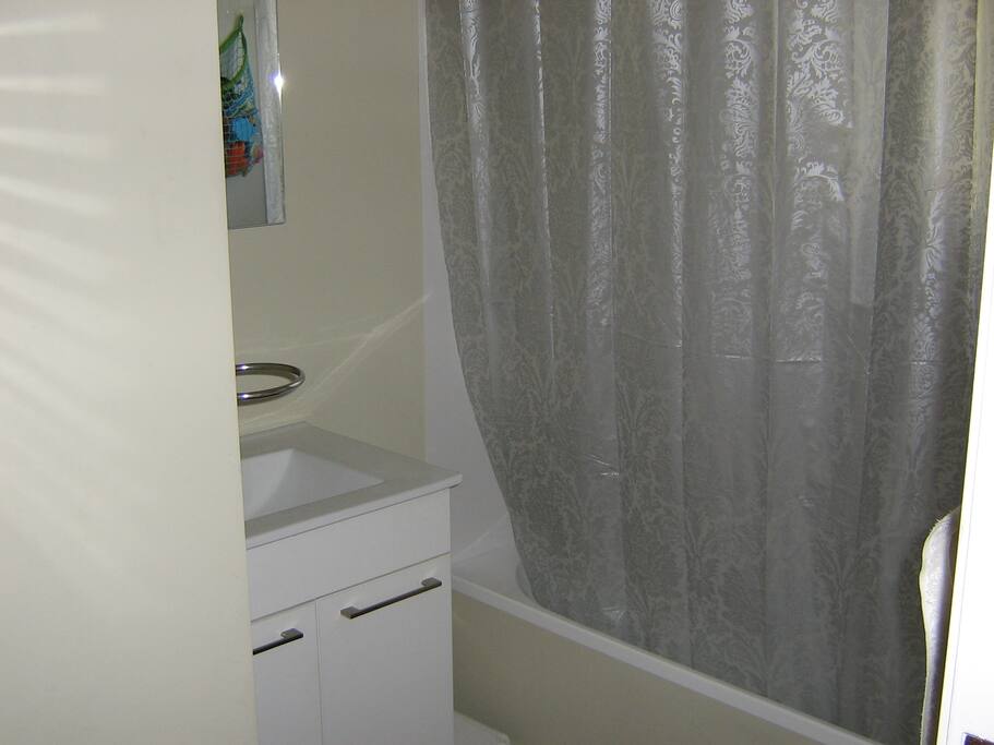The bathroom in main section of house