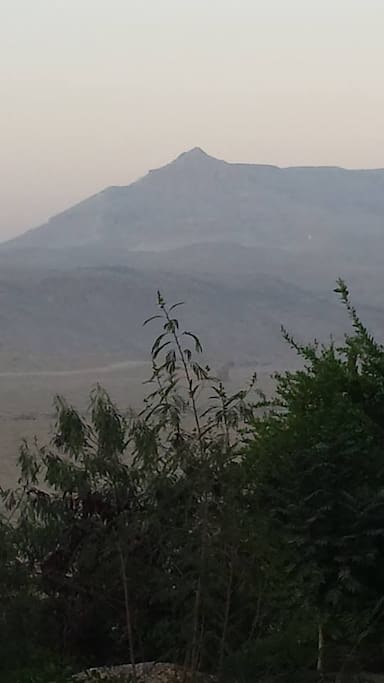 View from the back Porch toward the mountain.