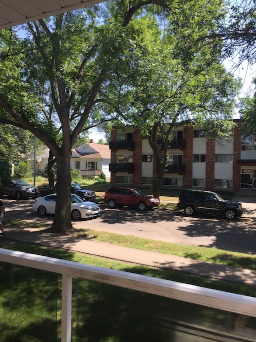 View from balcony. Old area of Edmonton with beautiful large trees.