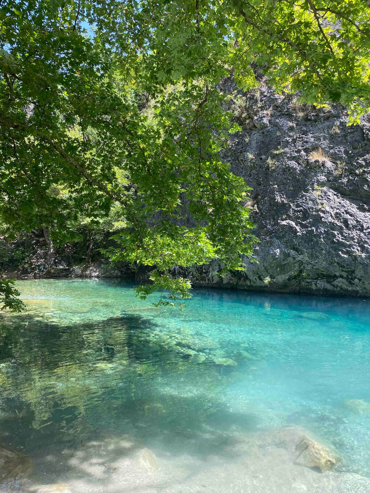 A serene body of water is surrounded by lush greenery and rocky cliffs. The clear turquoise water reflects the vibrant foliage above, creating a tranquil atmosphere. The smooth surface of the water reveals submerged rocks, adding texture to the natural landscape.