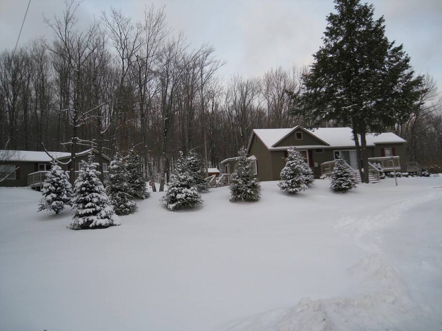 Property has two homes, both private available for rental for groups up to 16 ppl subject to date availability.