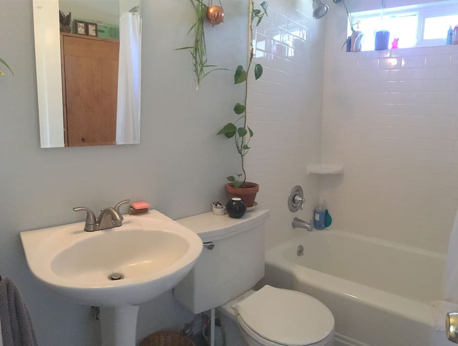 Small bathroom with decent size tub for baths and good water pressure!