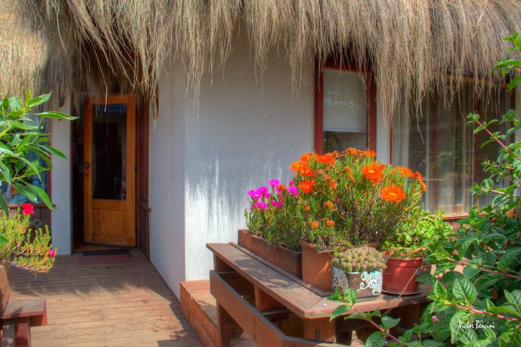 Acceso Cabaña N°3
Inmejorable ubicacion, “Playa Abanico” frente al mar.
3 cómodas y prácticas cabañas en arriendo, en condominio privado, frente a la mejor playa para el surf de Maitencillo.
ENERO Y FEBRERO: SE ARRIENDA MÍNIMO 7 NOCHES DE LUNES A LUNES.
*No se incluye sábanas, toallas, ni paños de cocina.
Otros avisos de “Maitencillovoncabanas”
Cabaña 4:
https://abnb.me/EVmg/biq0yhh0pJ
Cabaña 3:
https://abnb.me/EVmg/m9YeR6m0pJ
Cabaña 5:
https://abnb.me/EVmg/XMOfr4s0pJ