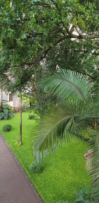 SERENE TROPICAL GARDEN