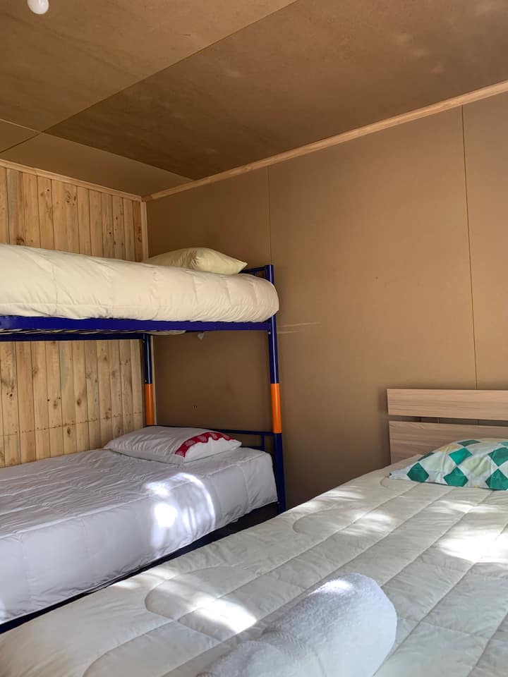 Habitación 1