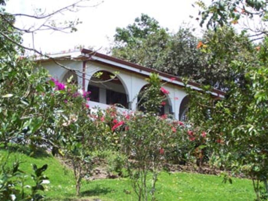 Main cabin