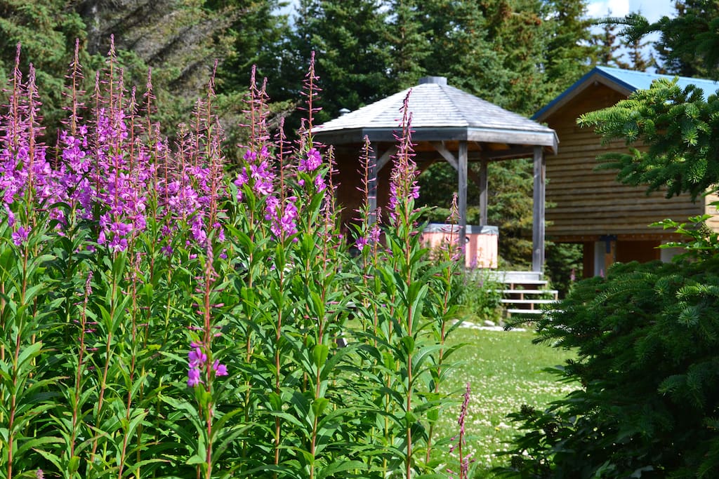 The Hot Tub Gazebo and Willow Wood.