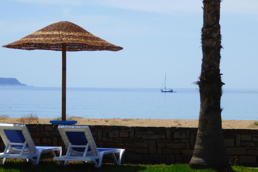 garden & beach