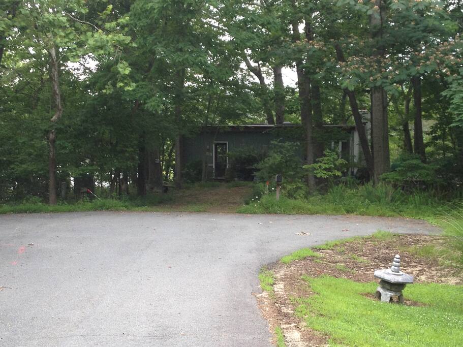 Tucked into the trees