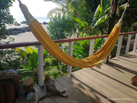Casa Origen: Ocean front, surrounded by jungle.