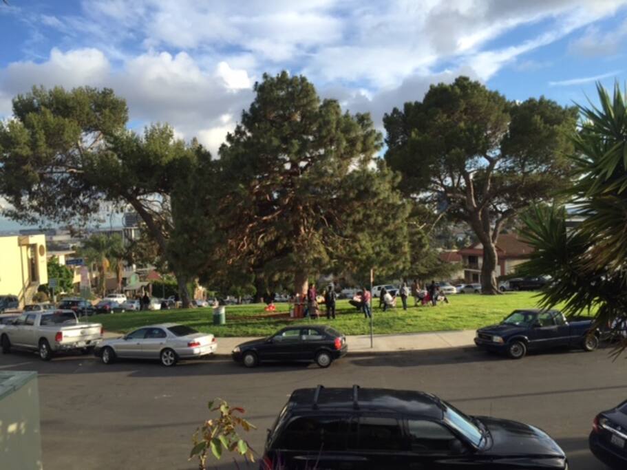 Right Outside Of The Everett Park