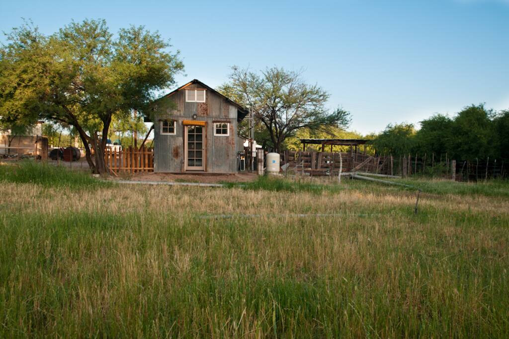 Pasture setting