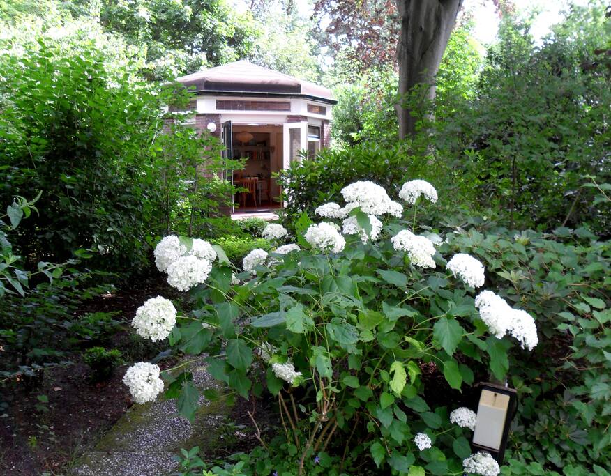 cottage