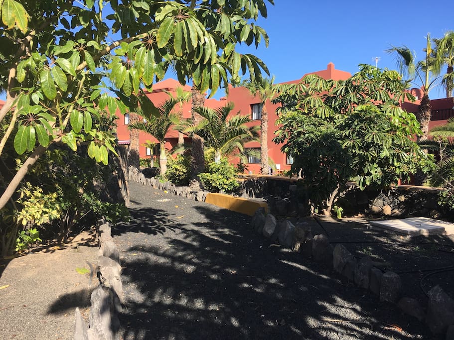 View of the resort